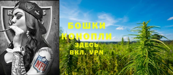 шишки Верхнеуральск