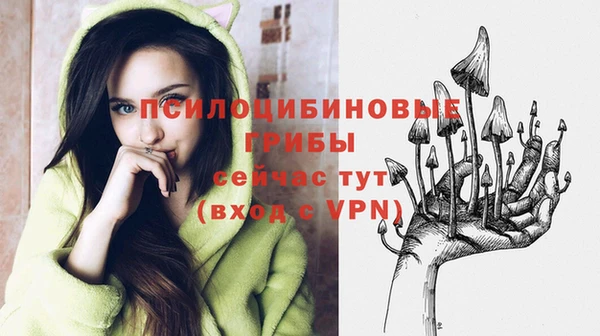 метадон Верея